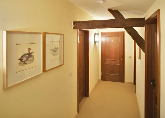 Zum Hauenden Schwein Wörlitz